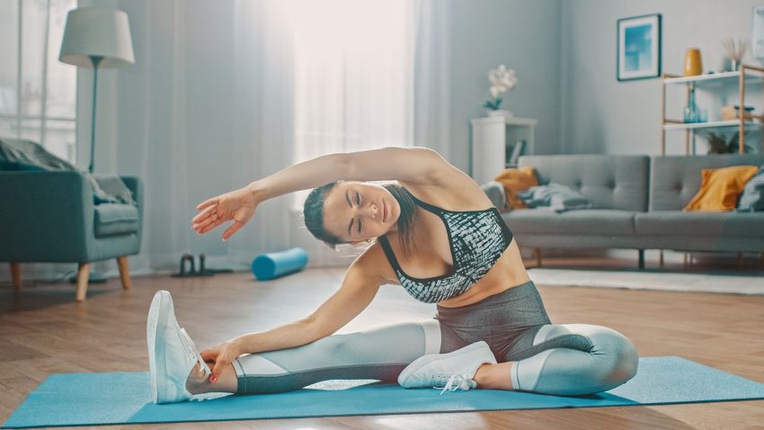 Sante VIP Essential Health Knowledge for Better Living